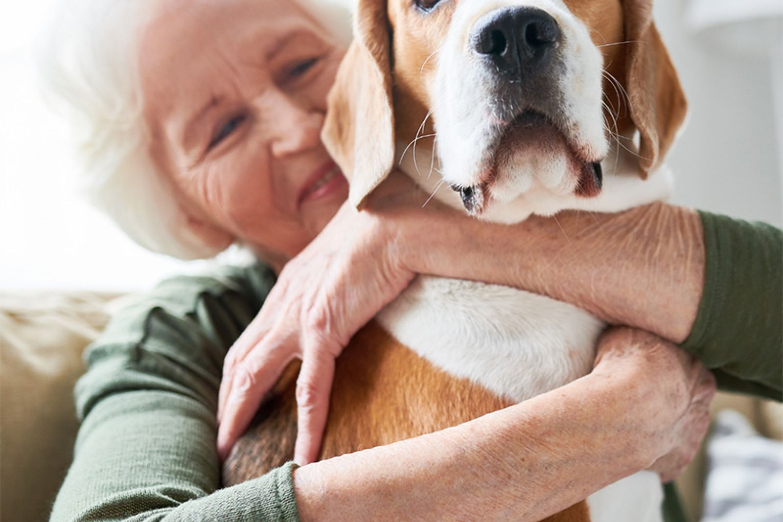 Pets and Mental Health