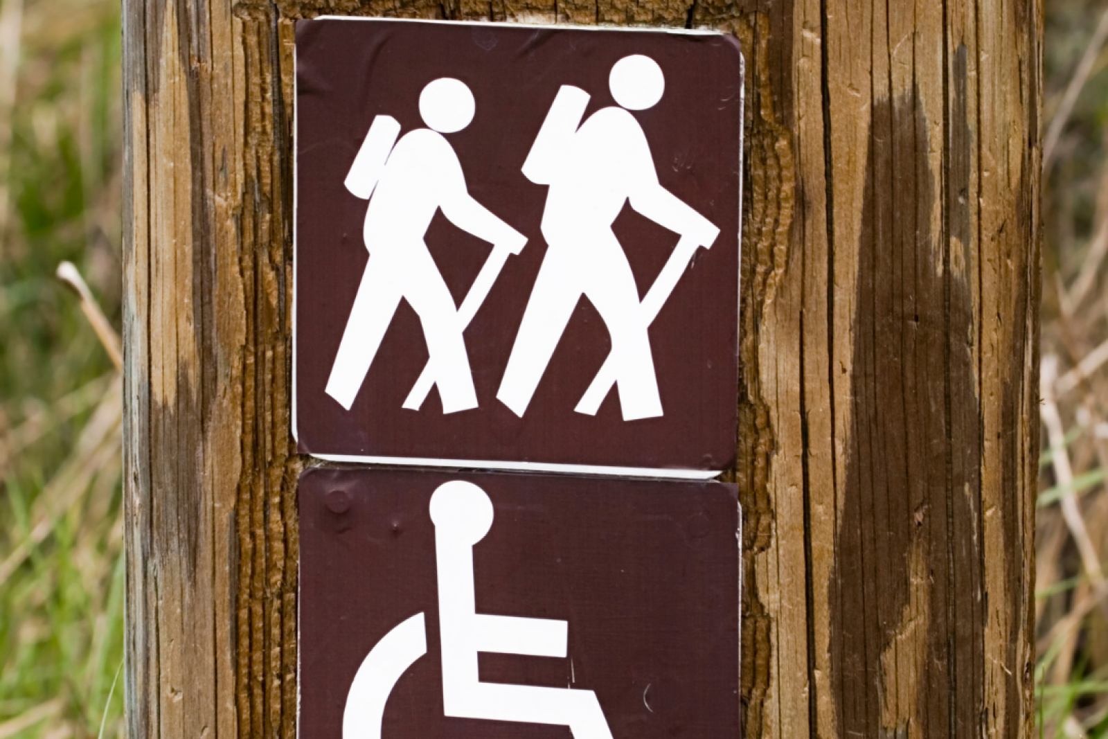 Australia's First Dementia